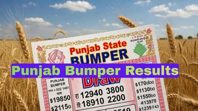 Punjab state dear bumper lottery results